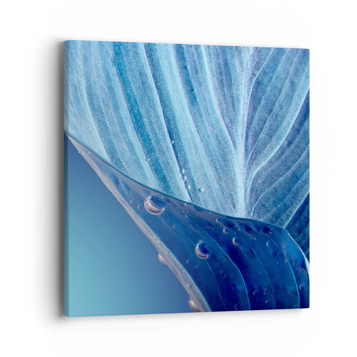 Canvas picture - Hidden Drops of Blue - 40x40 cm
