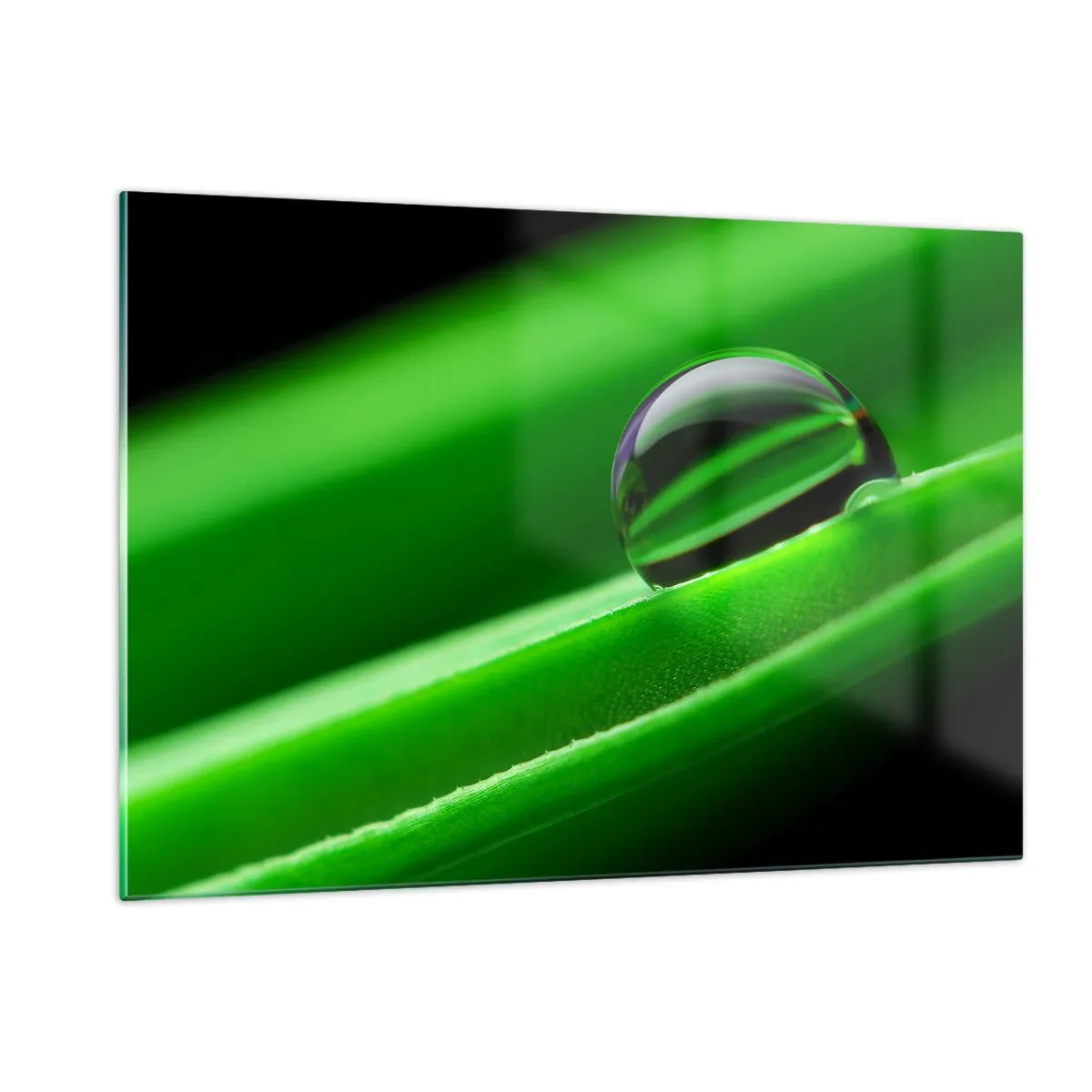 Glass picture - Life from a Close-Up - 120x80 cm