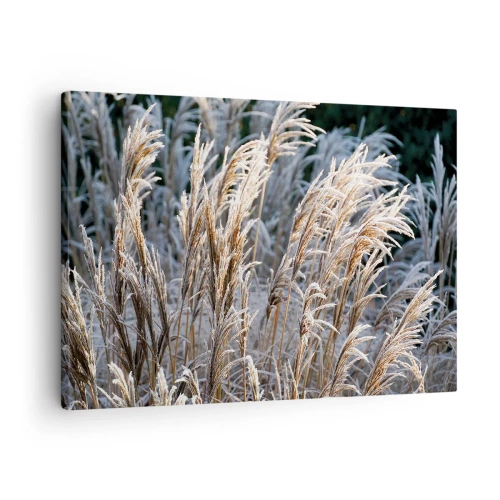 Canvas picture - Winter blades of grass covered with frost against a dark green background - 70x50cm - Decorated with Frost - Modern wall decoration for the living room and bedroom ARTTOR