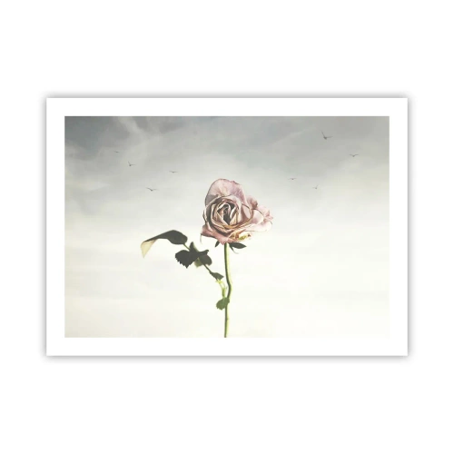 Poster - Welcoming of Spring - 70x50 cm