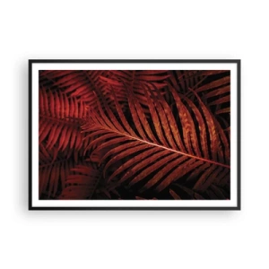 Poster in black frame - Heat of Life - 100x70 cm