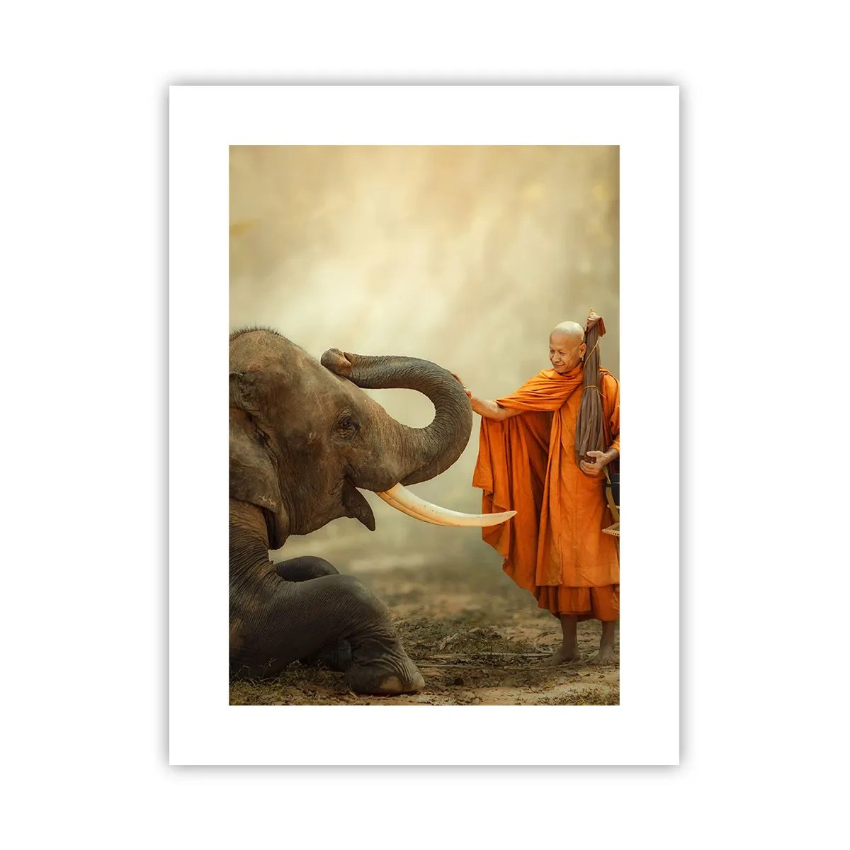 Poster - Unexpected Meeting - 30x40 cm
