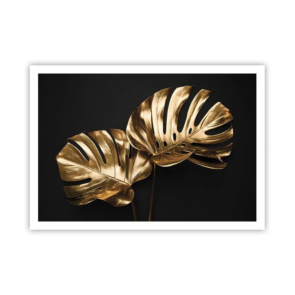 Poster - Tresaures of Nature - 100x70 cm