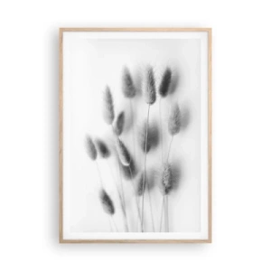 Poster in light oak frame - Her Softness Grass - 70x100 cm