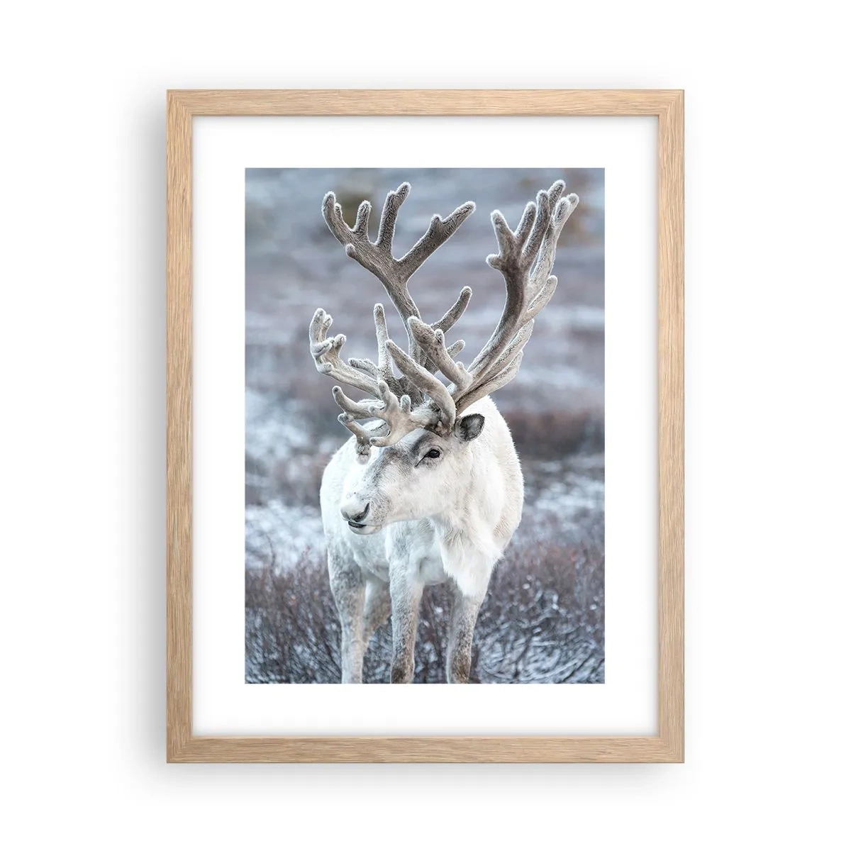 Poster in light oak frame - Portrait in the Sun - 30x40 cm