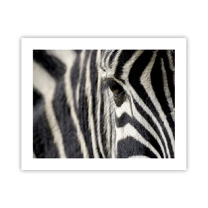 Poster - Striped Portrait - 50x40 cm