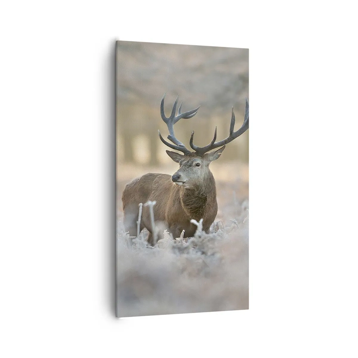 Canvas picture - Chilly Morning - 65x120 cm