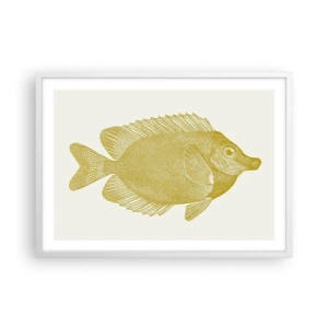 Poster in white frmae - Just a Fish - 70x50 cm