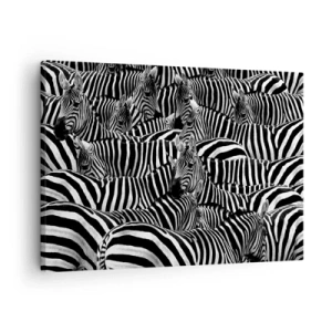 Canvas picture - A group of zebras with black and white stripes creating a pattern of symmetry. - 70x50cm - Striped Group Portrait  - Modern wall decoration for the living room and bedroom ARTTOR
