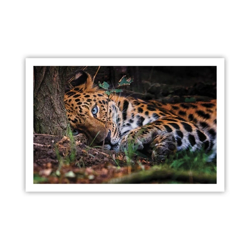 Poster - Trust Me - 91x61 cm