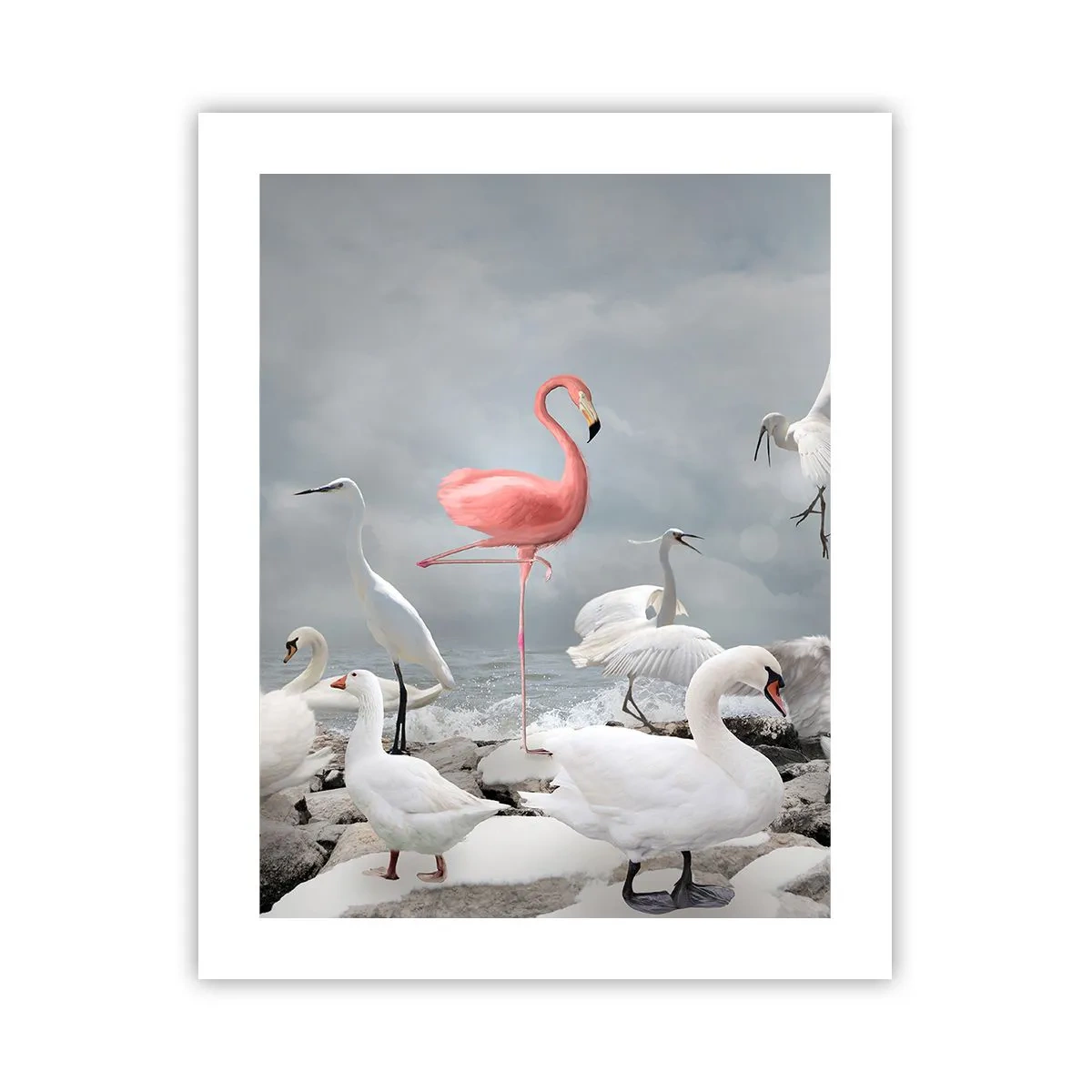 Poster - Where Did I Come from? - 40x50 cm