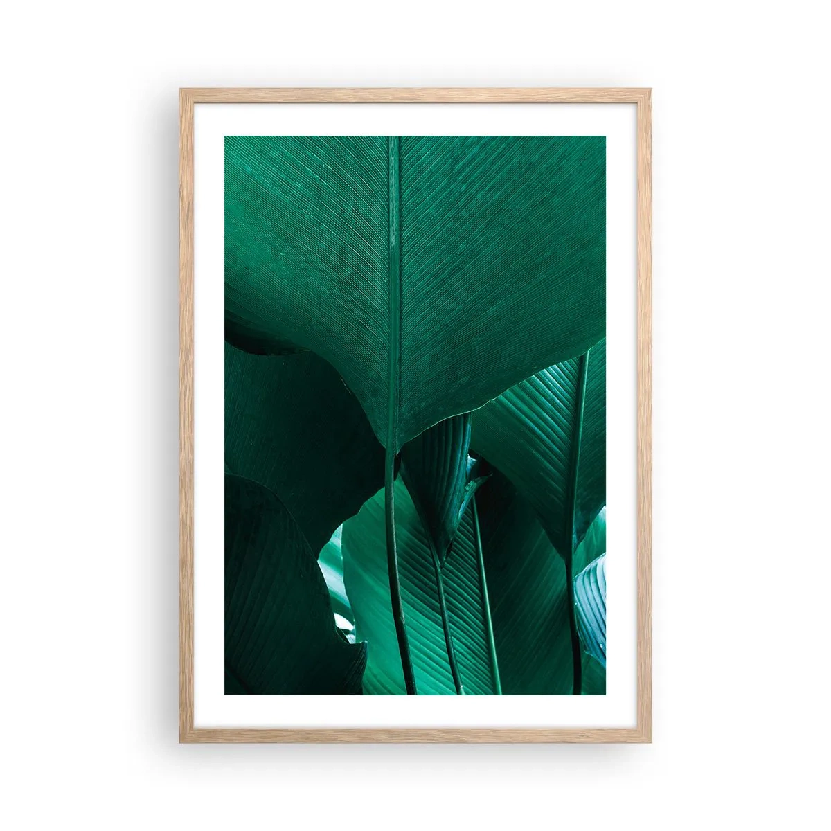 Poster in light oak frame - Turned towards Light - 50x70 cm