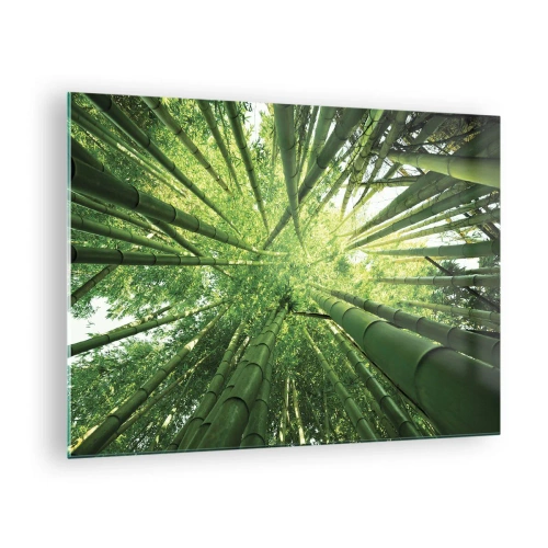 Glass picture - Upward perspective view of the bamboo forest - 70x50cm - In a Bamboo Forest - Modern wall decoration for the living room and bedroom ARTTOR