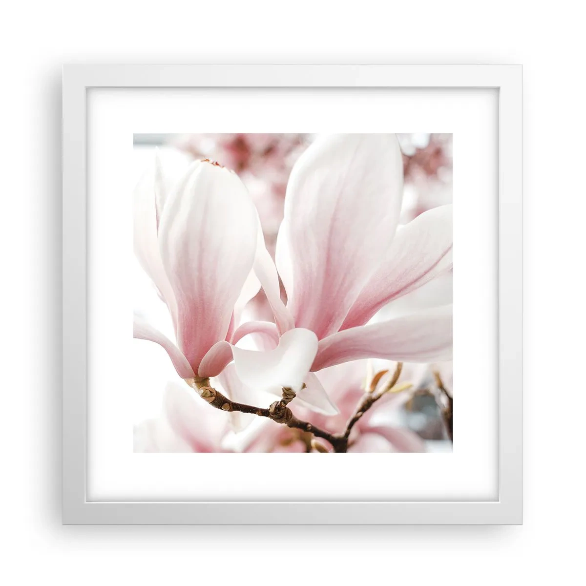 Poster in white frmae - Immensity of Tenderness - 30x30 cm