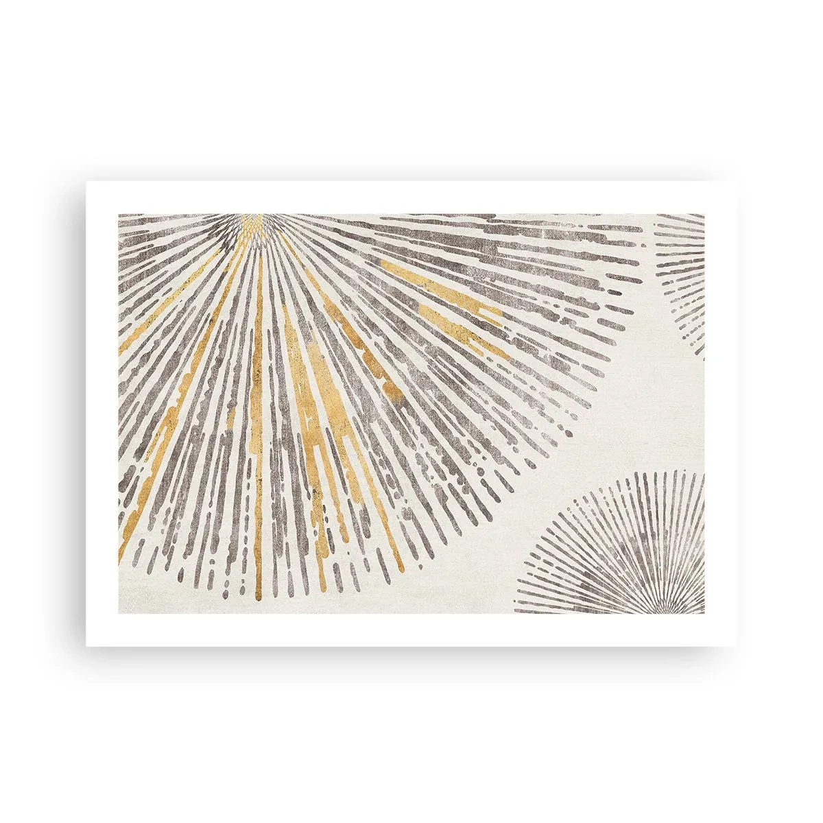 Poster - Beauty of a Ray - 70x50 cm