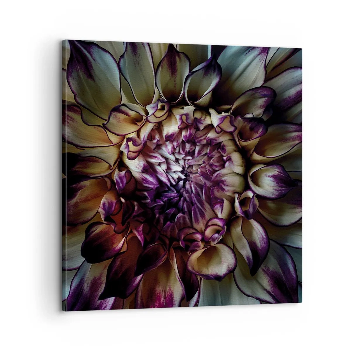 Canvas picture - The Blossoming of Youth - 60x60 cm