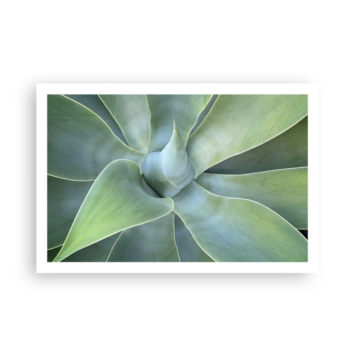 Poster - Birth of Green - 91x61 cm