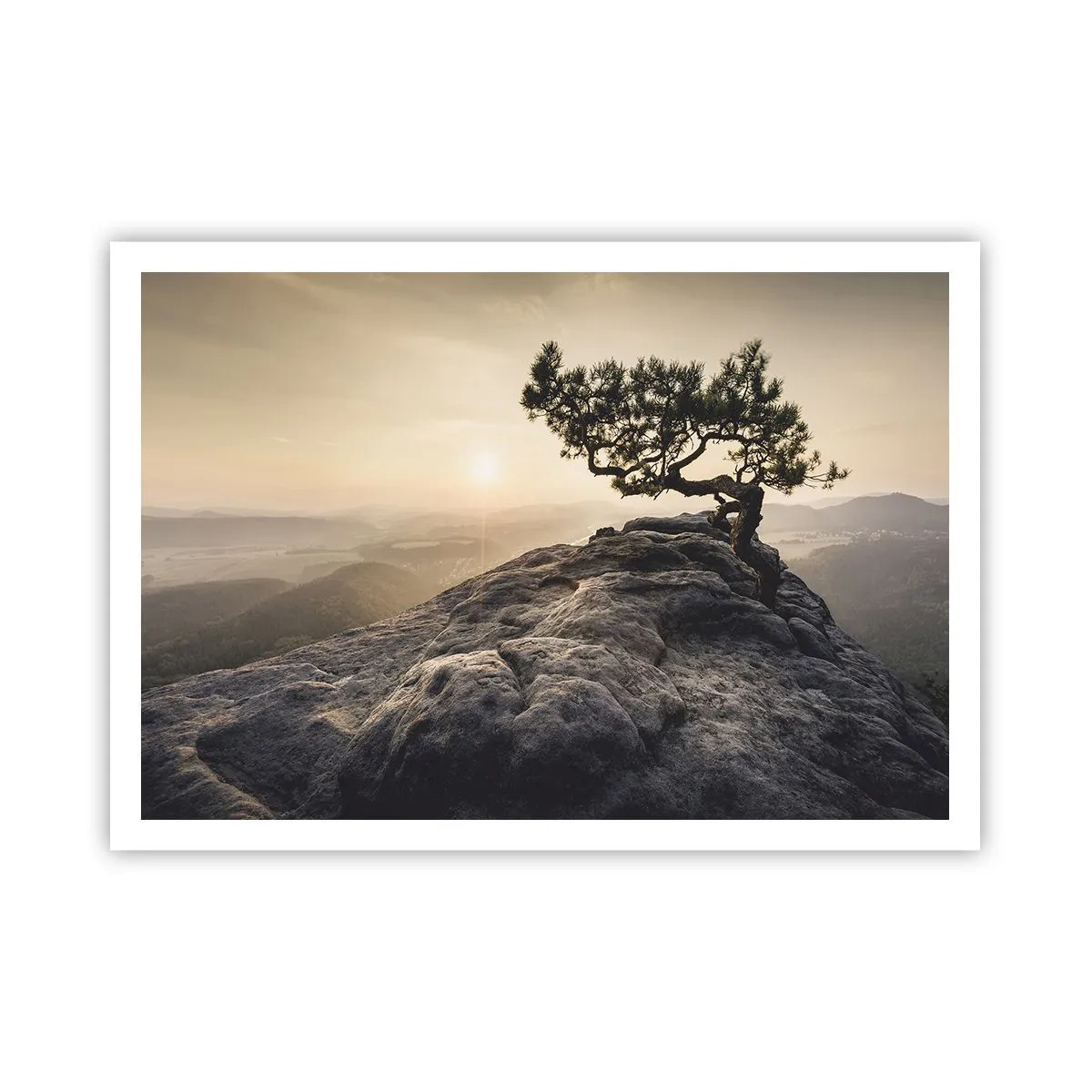 Poster - Life Always Wins - 100x70 cm