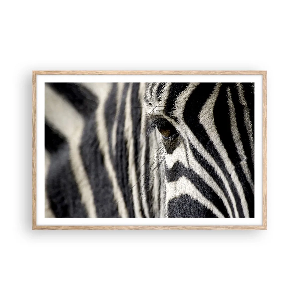 Poster in light oak frame - Striped Portrait - 91x61 cm