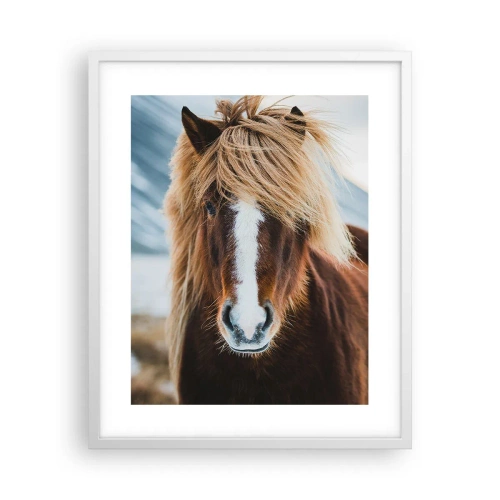 Poster in white frmae - Can You Feel the Freedom? - 40x50 cm