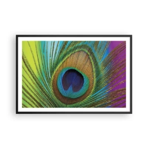Poster in black frame - Eye to Eye - 91x61 cm