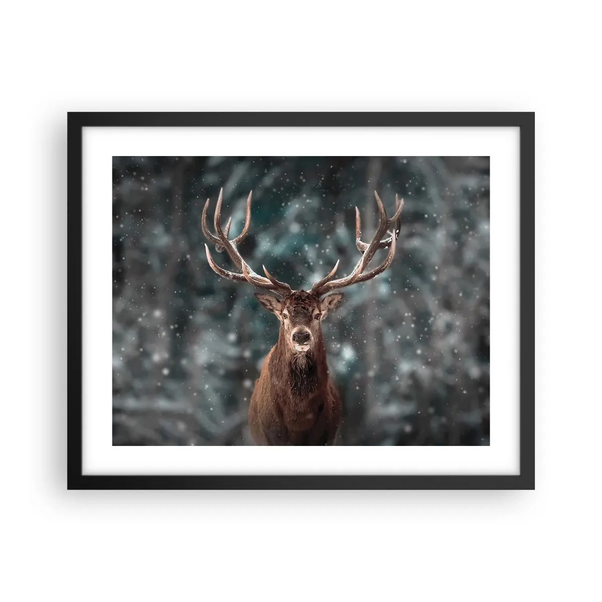 Poster in black frame - King of Forest Crowned - 50x40 cm