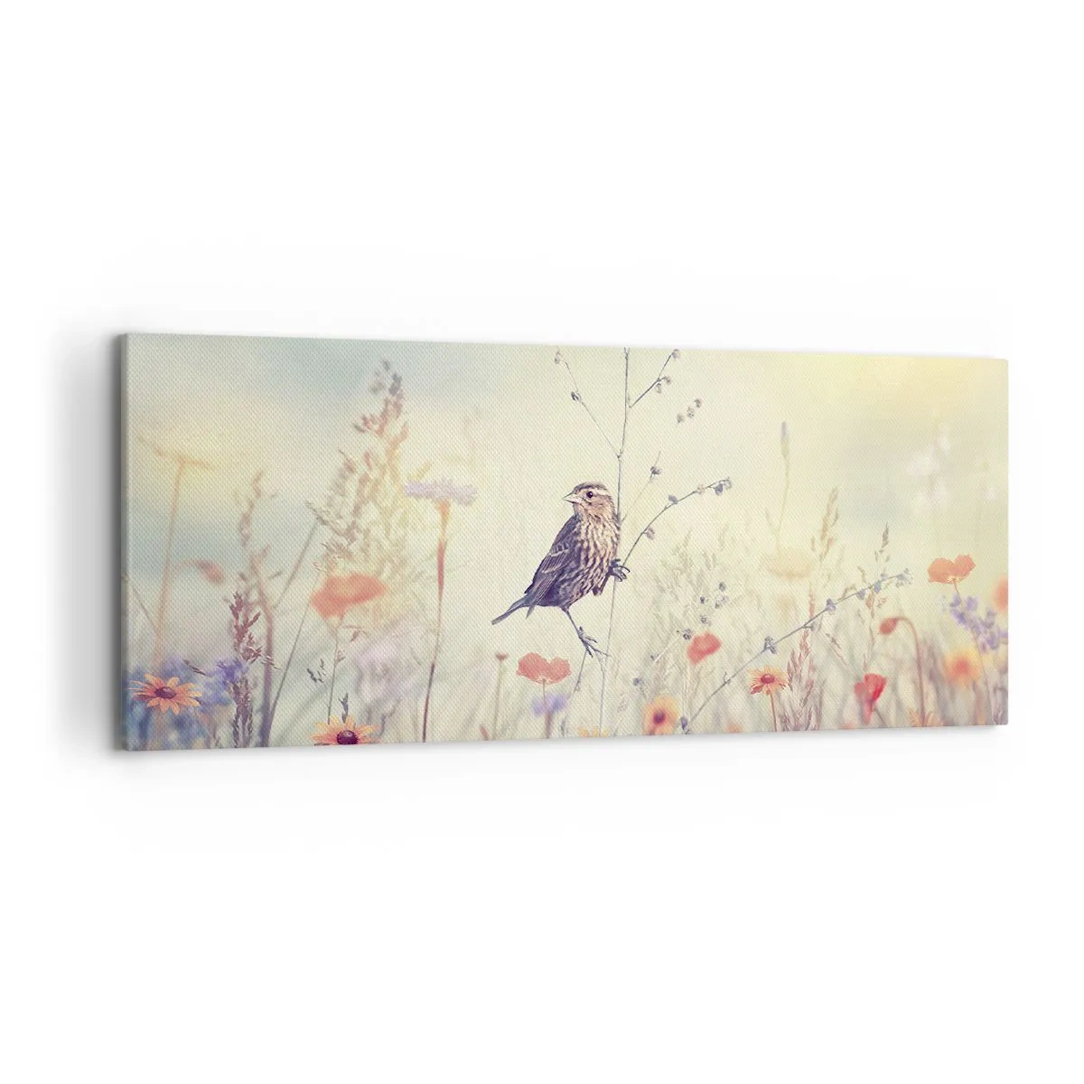 Canvas picture - Bird Portrait with a Meadow in the Background - 120x50 cm