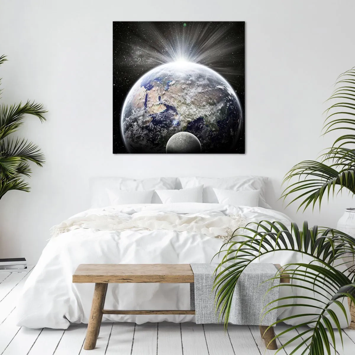 Canvas picture - In Full Blaze - 70x70 cm