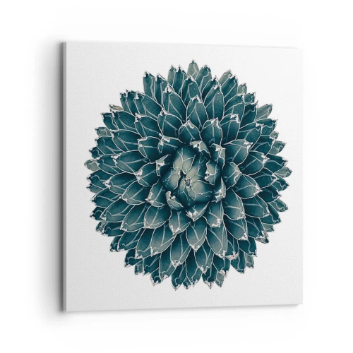 Canvas picture - Star of the Desert - 70x70 cm