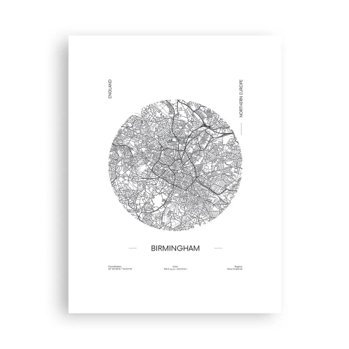 Poster - Anatomy of Birmingham - 30x40 cm