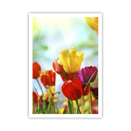 Poster - All Colours of the Sun - 70x100 cm