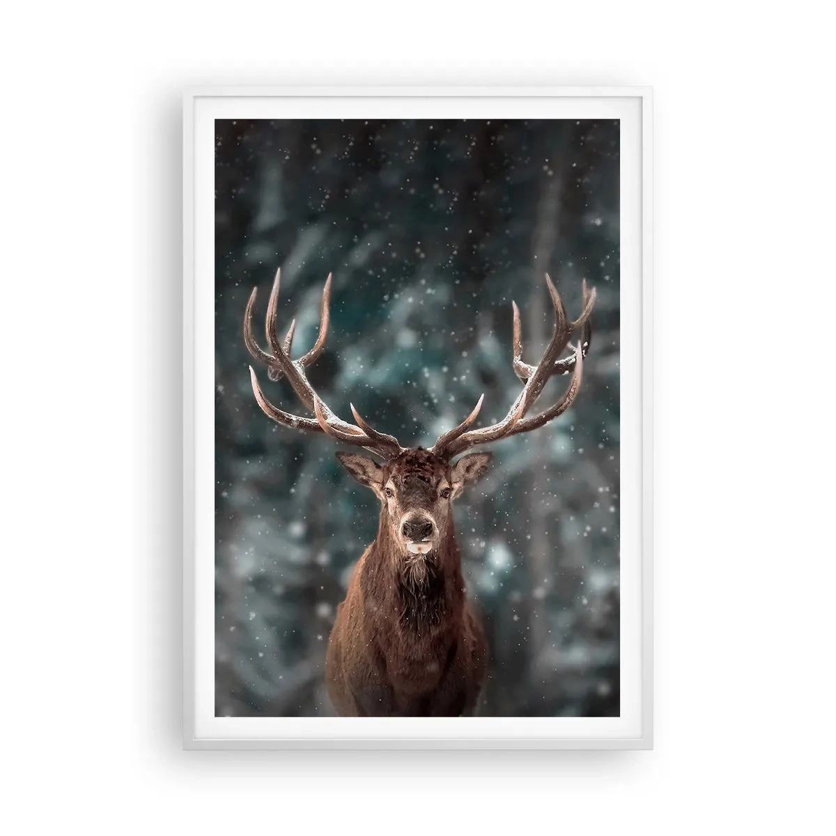 Poster in white frmae - King of Forest Crowned - 70x100 cm