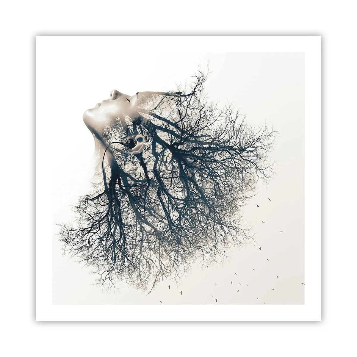 Poster - Listening to the Whisper of the Trees - 60x60 cm