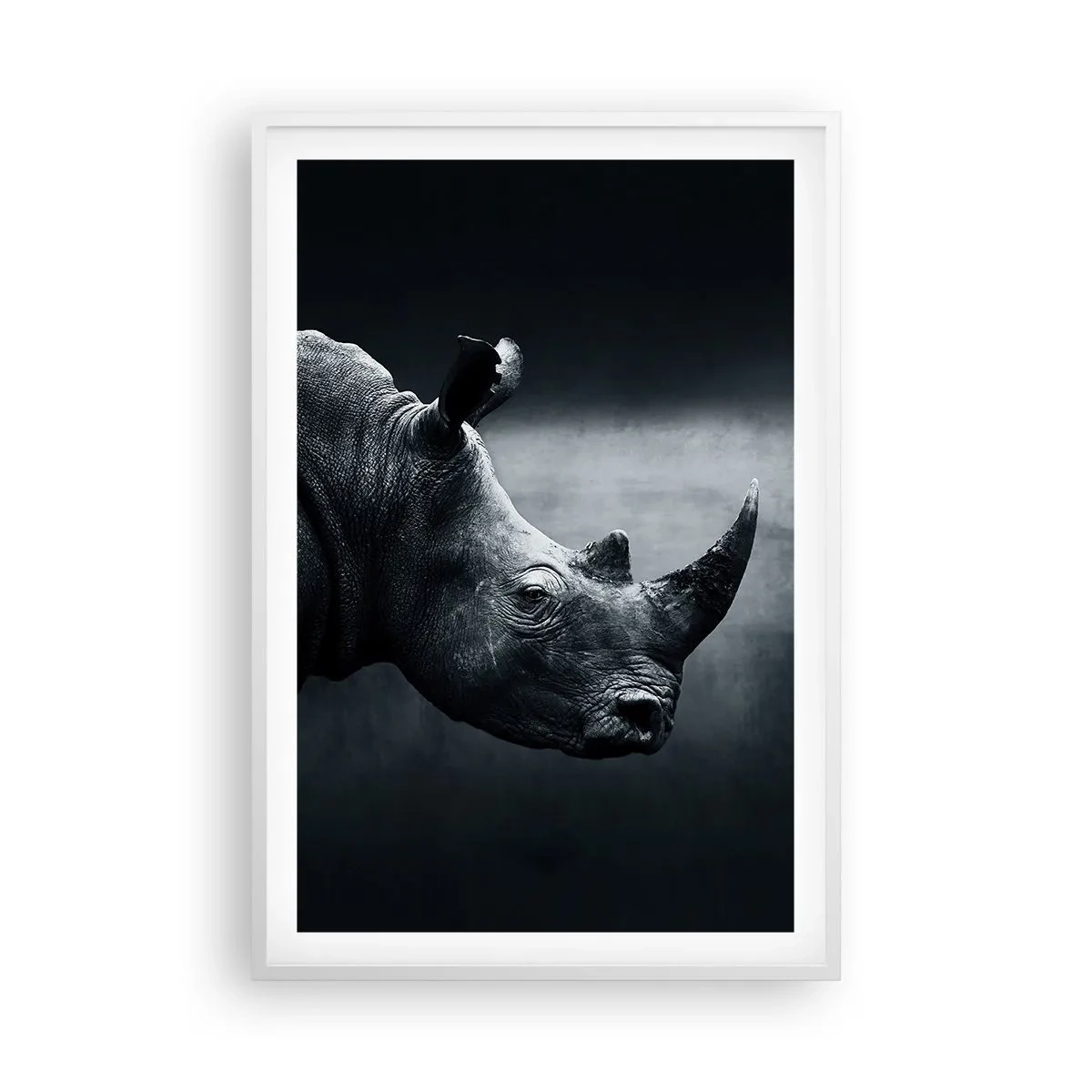 Poster in white frmae - Right Profile - 61x91 cm