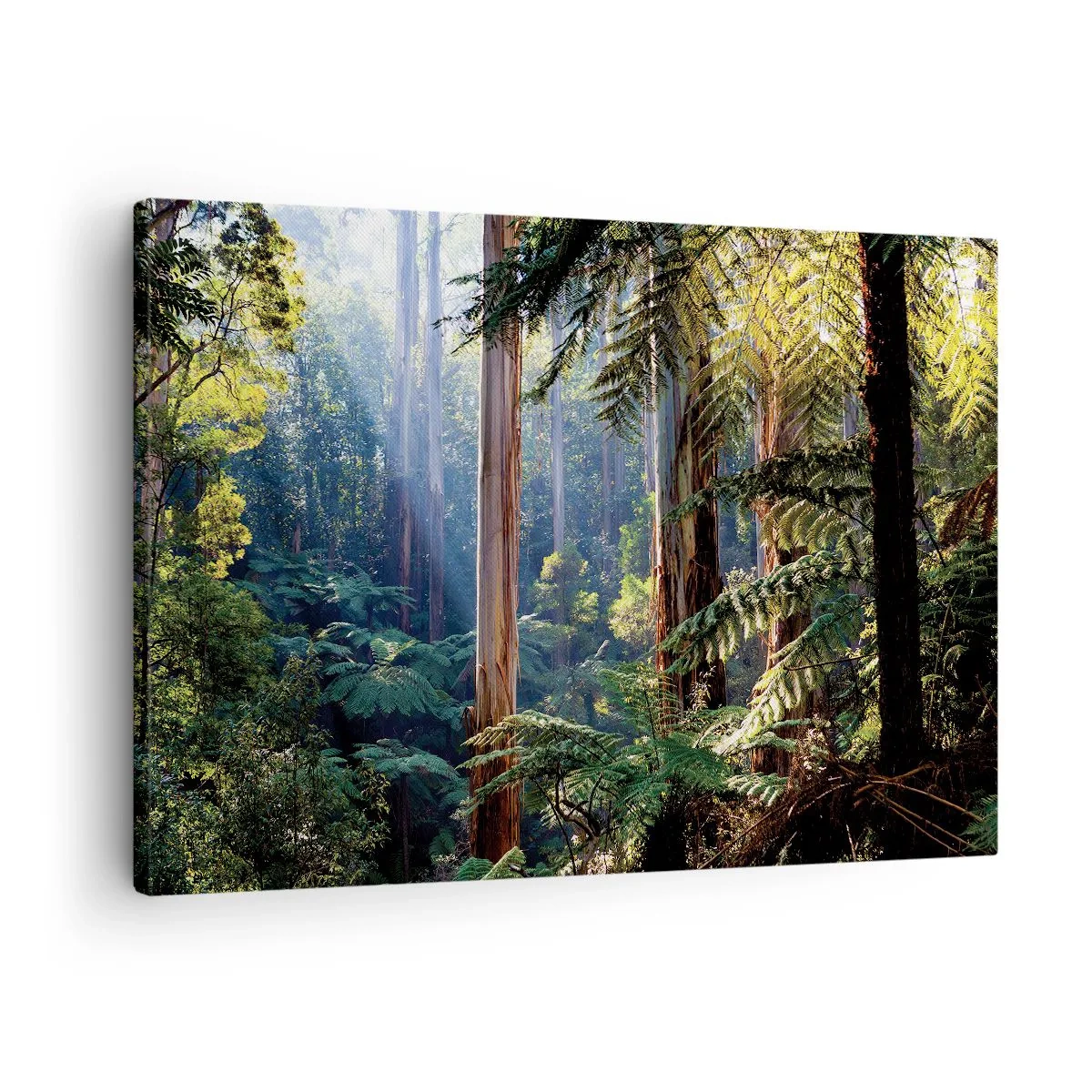Canvas picture - Tropical forest illuminated by the sun's rays - 70x50cm - Tale of a Forest - Modern wall decoration for the living room and bedroom ARTTOR