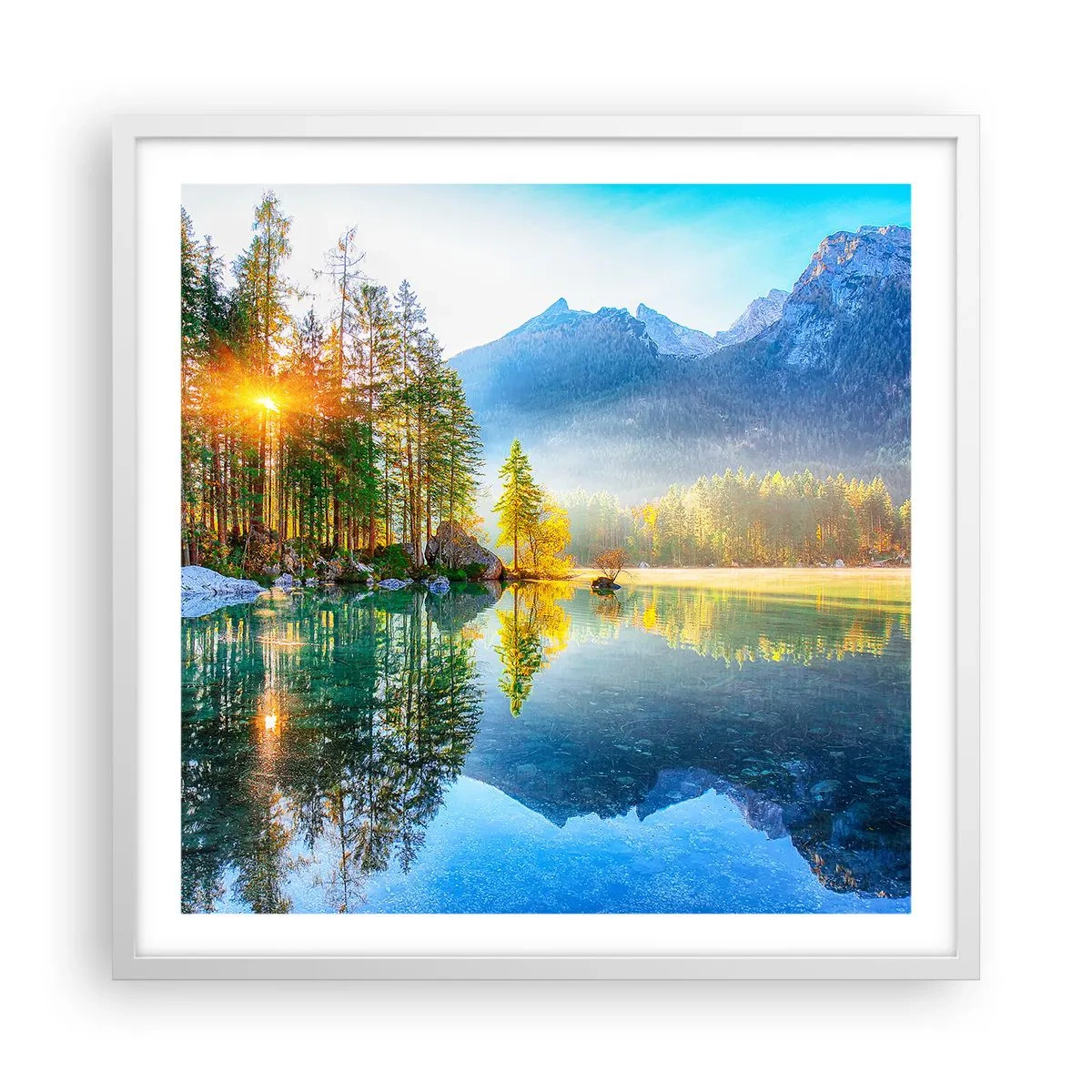 Poster in white frmae - Majesty and Sweetness - 60x60 cm