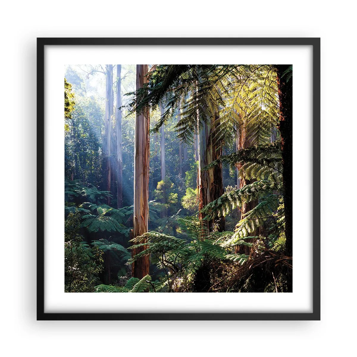 Poster in black frame - Tale of a Forest - 50x50 cm