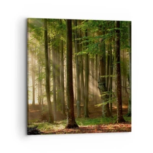 Canvas picture - Beaming in Spring Morning - 70x70 cm
