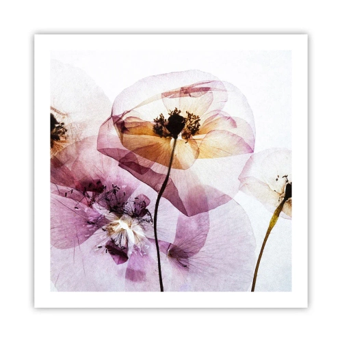 Poster - Flower Body Slide - 60x60 cm