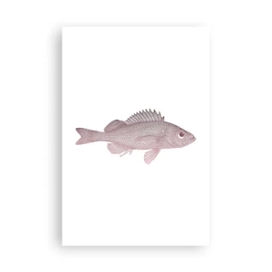 Poster - Big-eyed Fish - 61x91 cm