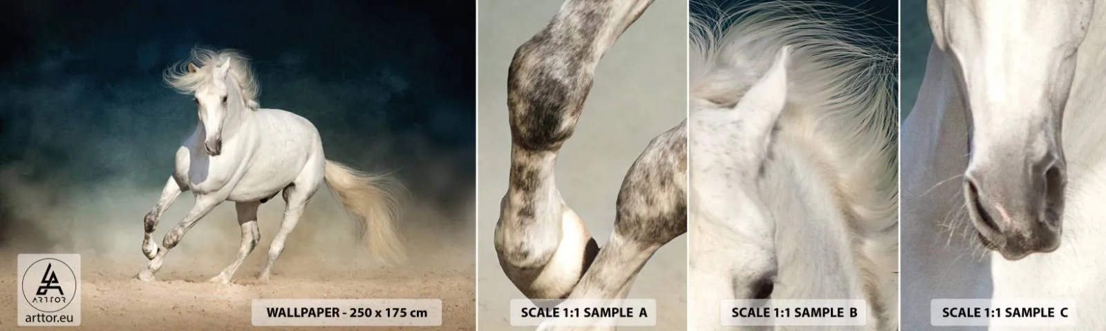 Photo Wallpaper Sample Self-Adhesive Deluxe Sticker - Freedom in a Pure State - Horse, Animal, White - 100x30 cm