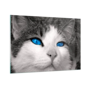 Glass picture - Extremely Blue-eyed - 100x70 cm