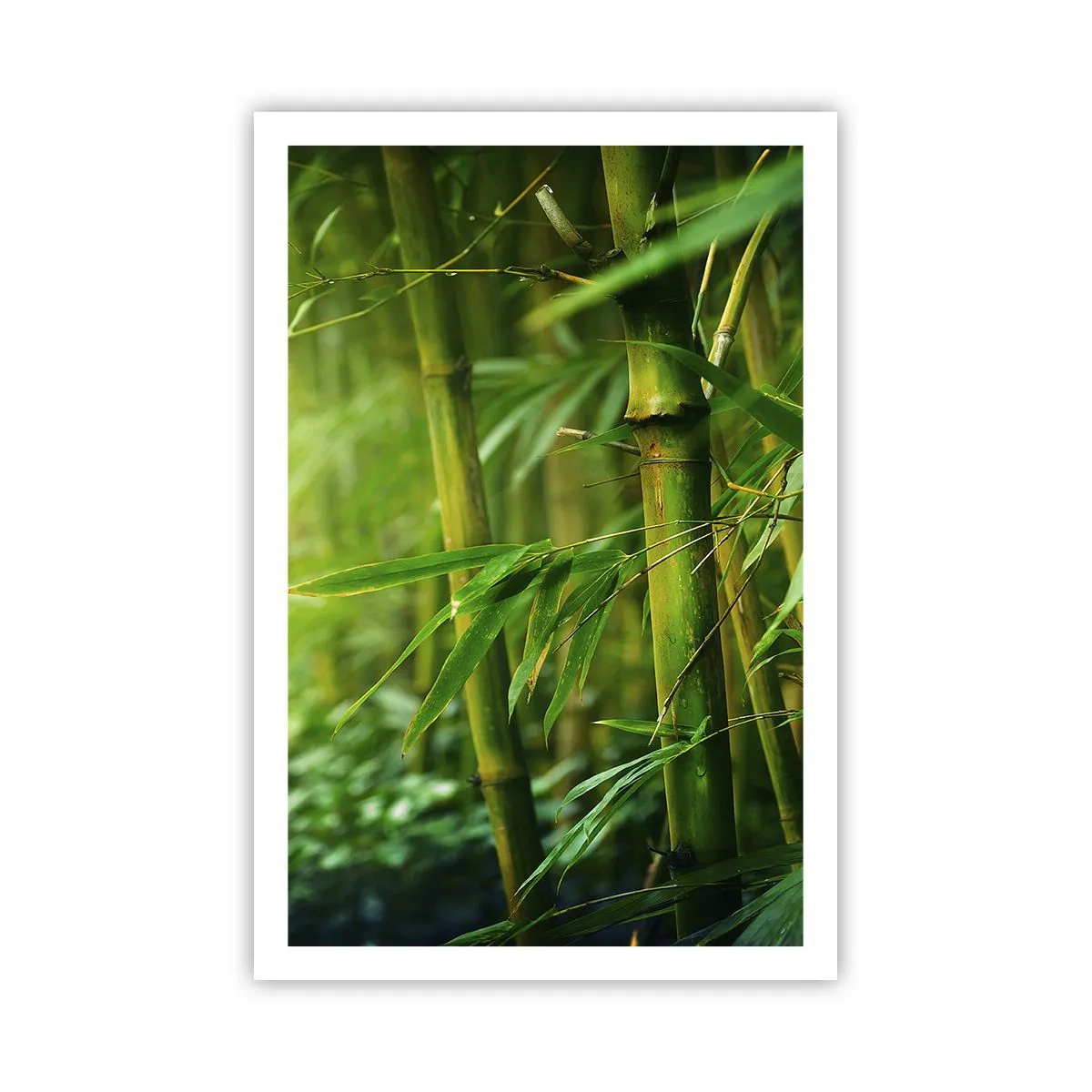 Poster - Getting to Know the Green - 61x91 cm