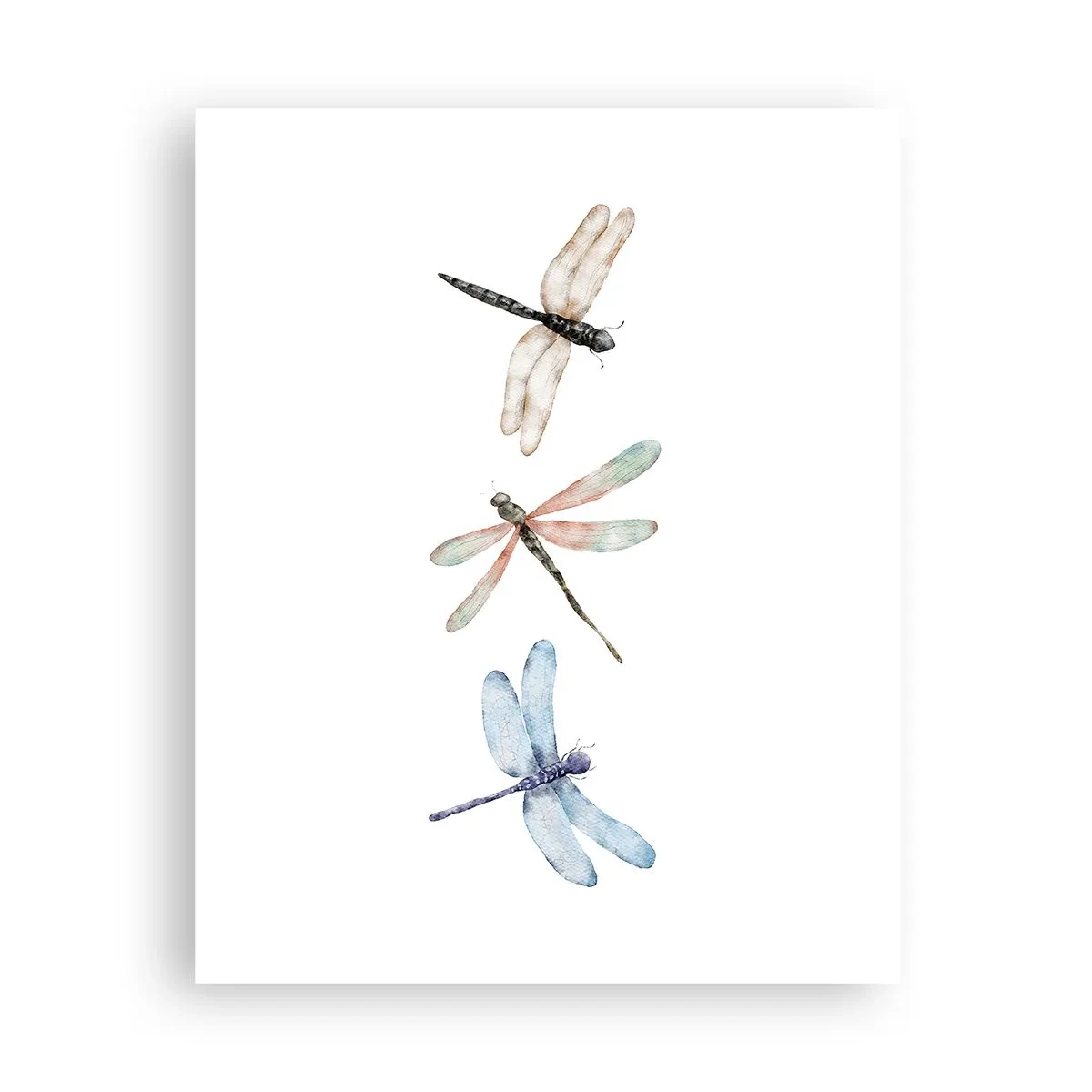 Poster - Lightness of Dragonflies - 40x50 cm