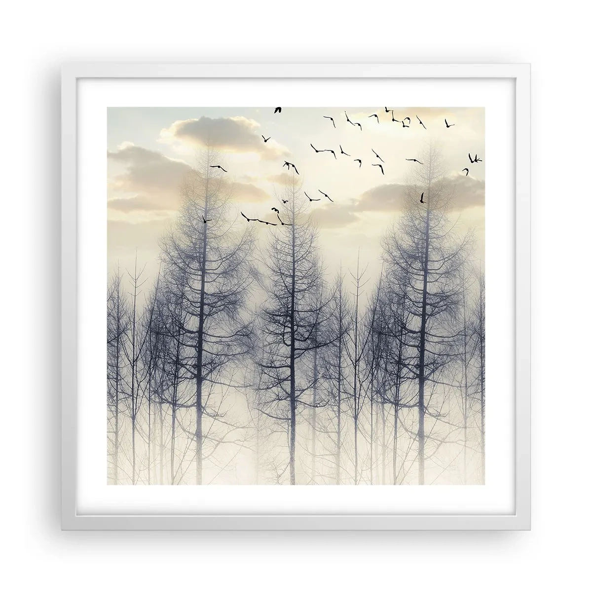 Poster in white frmae - Spirits of the Forest - 50x50 cm
