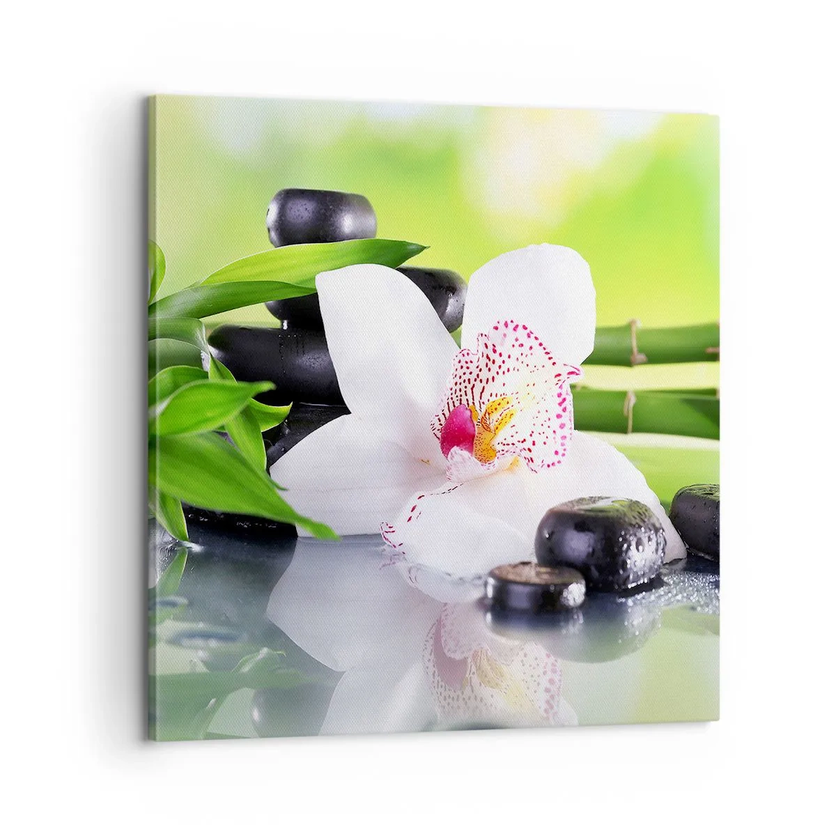 Canvas picture - Cool Freshness - 60x60 cm