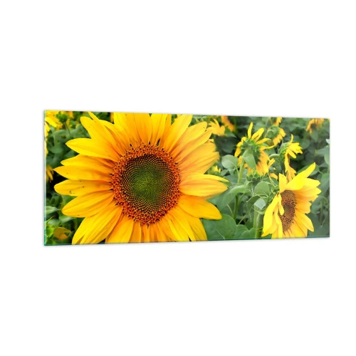 Glass picture - Hundreds of the Suns - 100x40 cm