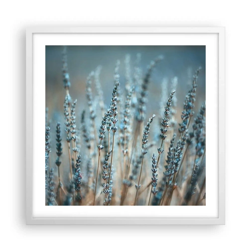 Poster in white frmae - Fragrant Grass - 50x50 cm