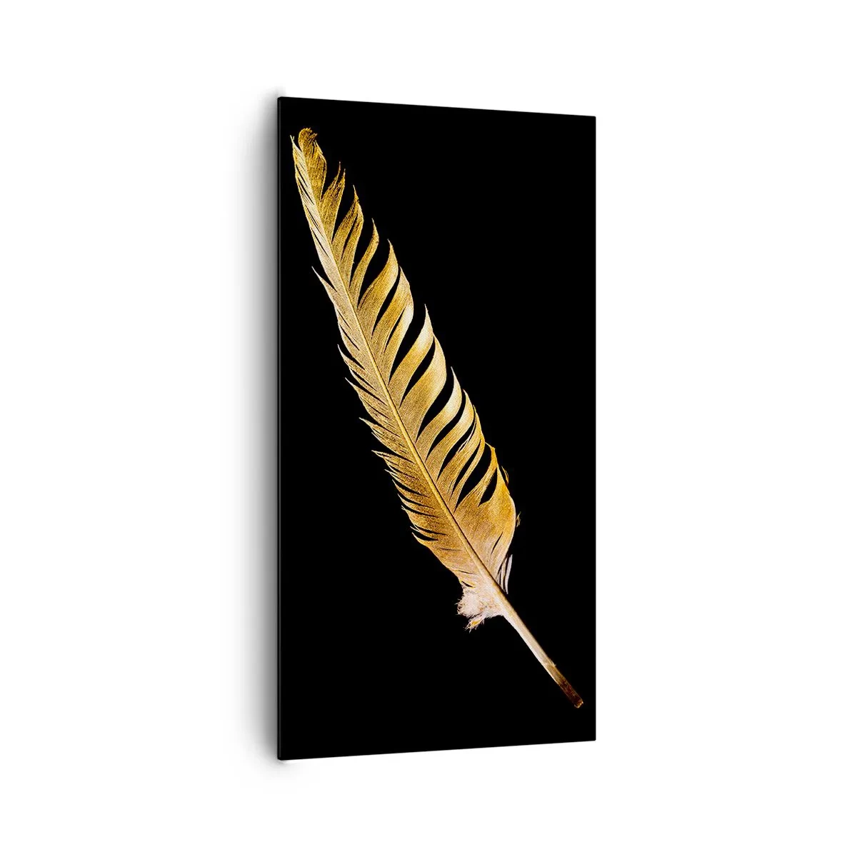 Canvas picture - High-Class Feather - 65x120 cm