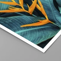 Unframed